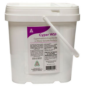 Cyper WSP
