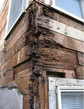 Structural damage caused by insects
