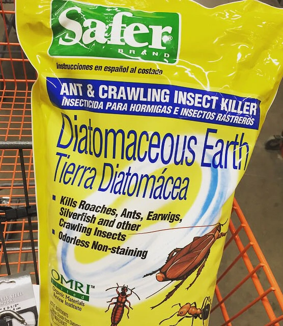 Diatomaceous earth