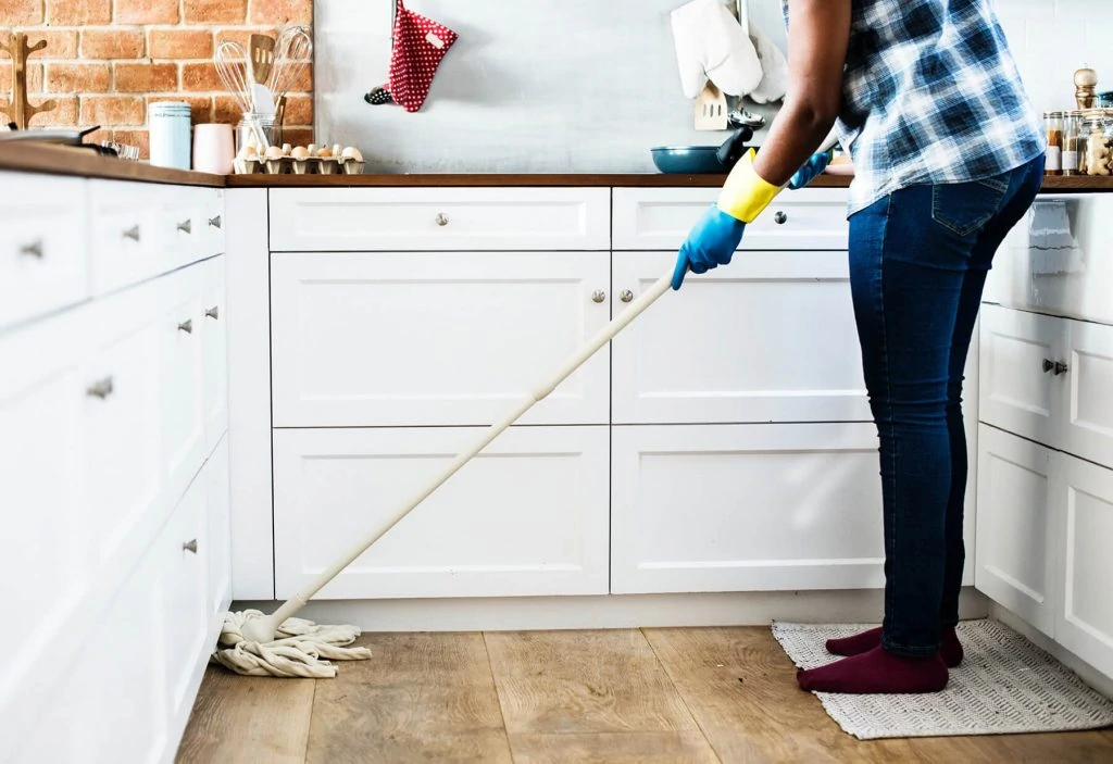 Cleaning your home will make your home less attractive to ants