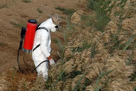 Chemical Pesticides being applied