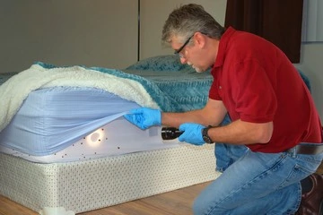 Bed bug infestation extermination service man in gloves and safety glasses inspecting infected mattress sheets and blanket bedding with a powerful flashlight preparing to exterminate the bugs.
