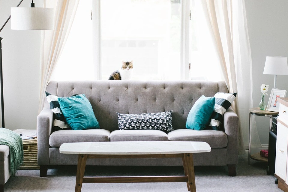 Living Room, Sofa, Couch, Interior Design, Decoration