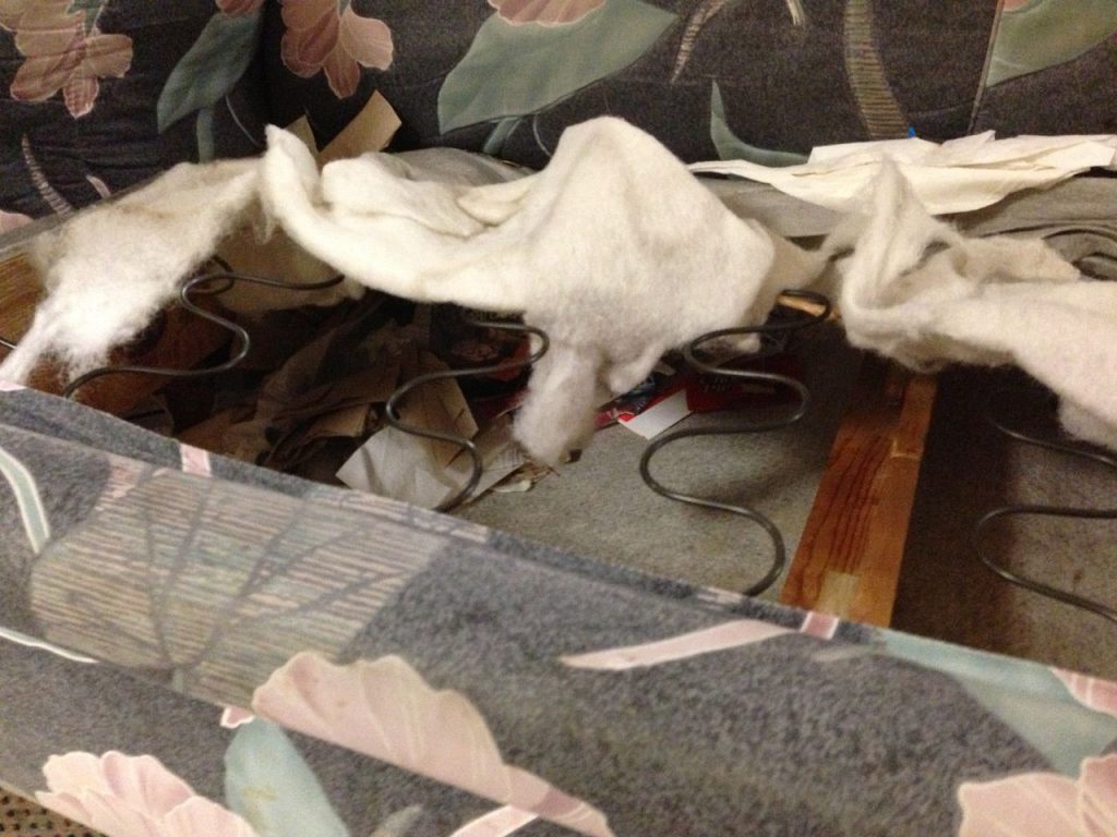 Bed bug hiding place