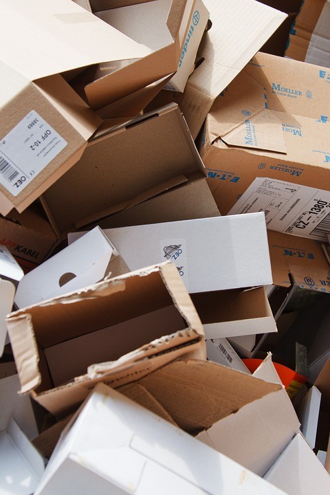 Cardboard boxes as hiding place for bed bugs