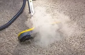 https://upload.wikimedia.org/wikipedia/commons/d/d1/Carpet_Steam_Cleaning_Services.jpg