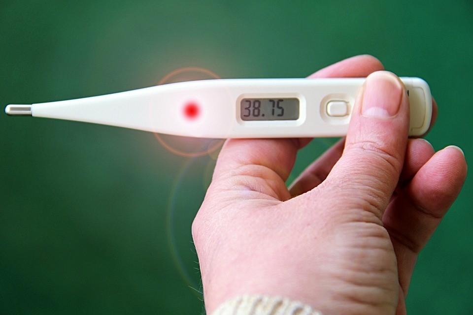 Thermometer, Fever, Number, Hand, Background, Green