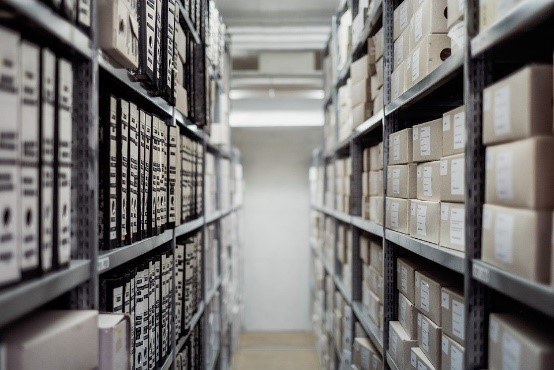 Archives are ideal hiding place for bed bugs