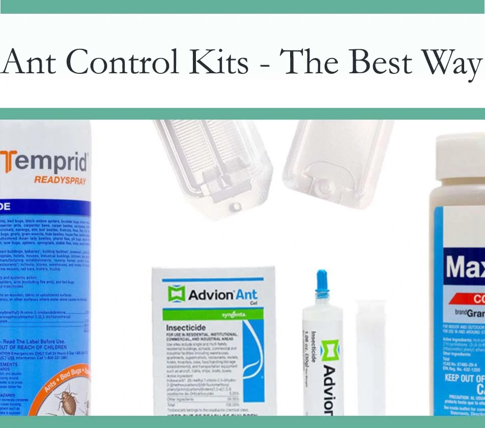 Ant Control Kits - Best Complete Ant Killer - The Pest Advice