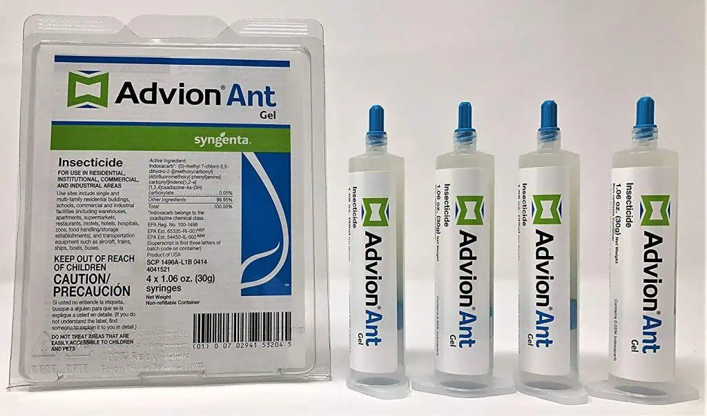 How To Get Rid Of Acrobat Ants The Pest Advice