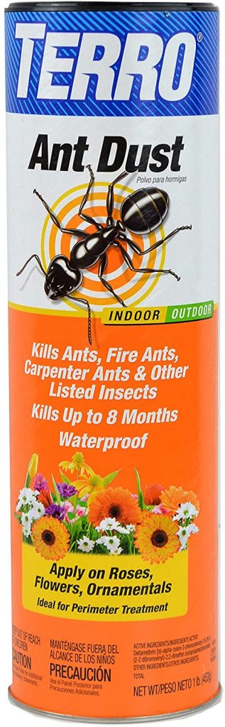 Terro Ant Dust will kill little black ants