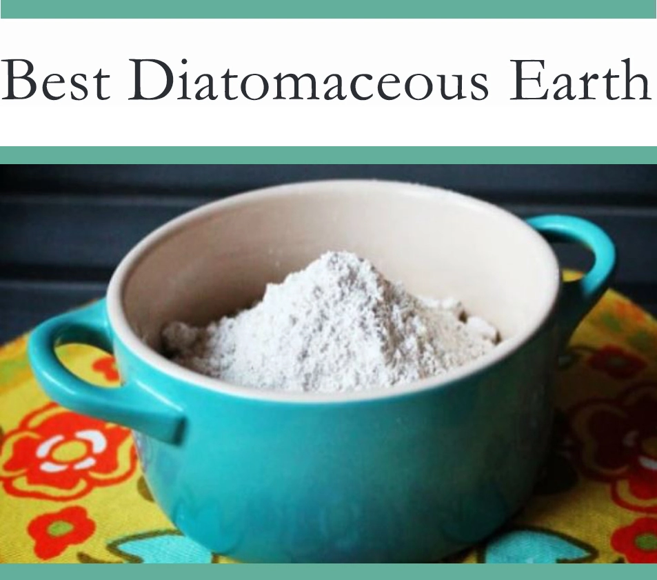 Diatomaceous Earth for Ants
