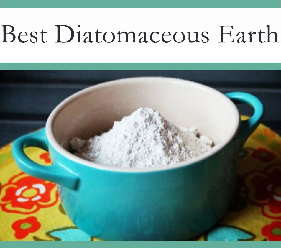 Diatomaceous Earth for Ants 