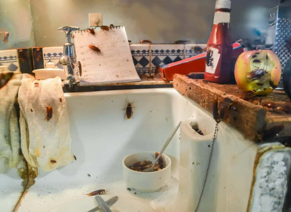 stop making your home dirtier