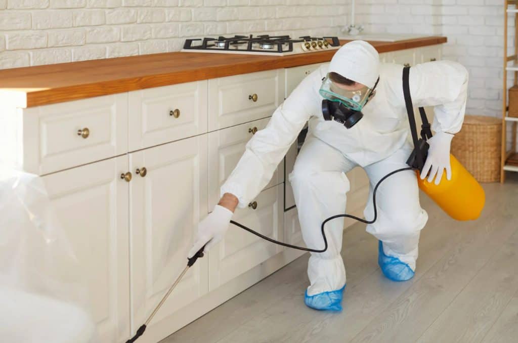 Pest Control CQR Pants