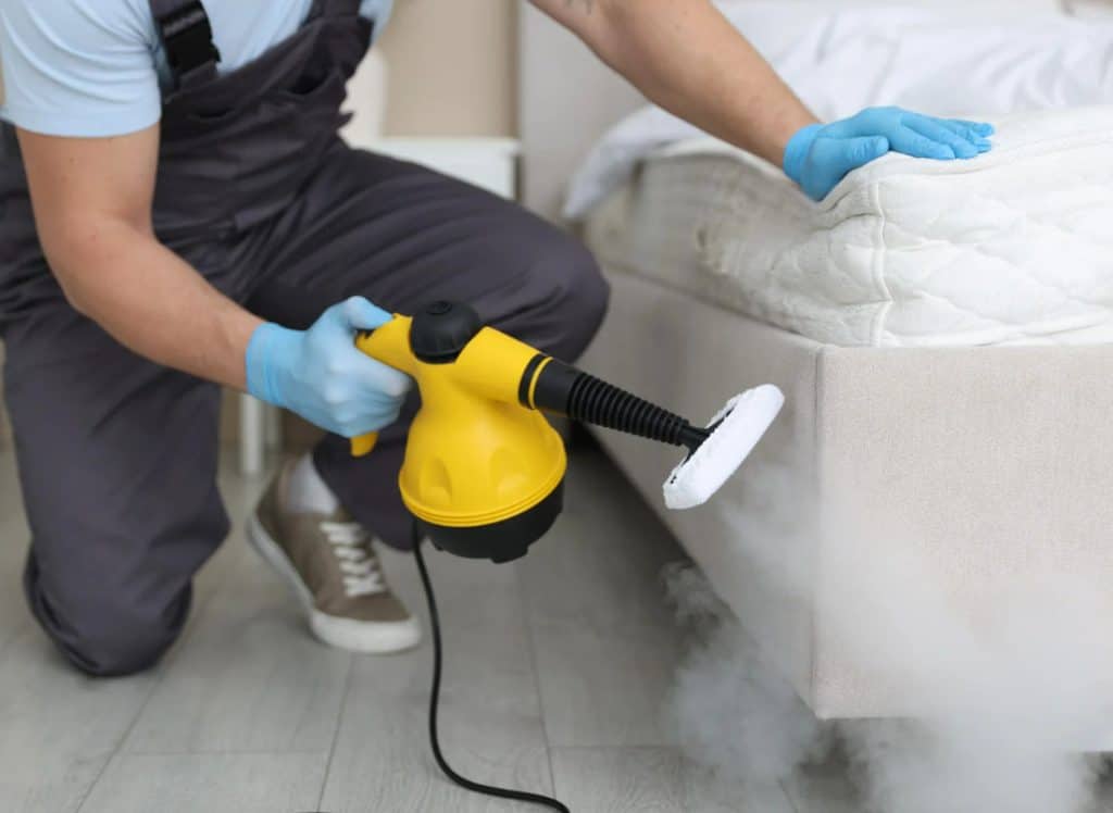choosing the wrong exterminator services