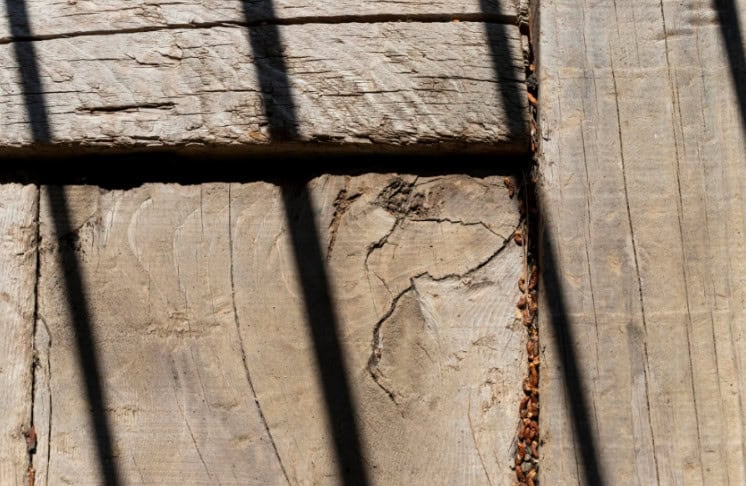 identifying the most common signs of termite damage