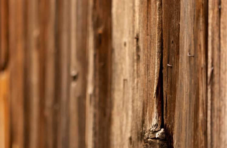 recognizing the most common signs of termite damage
