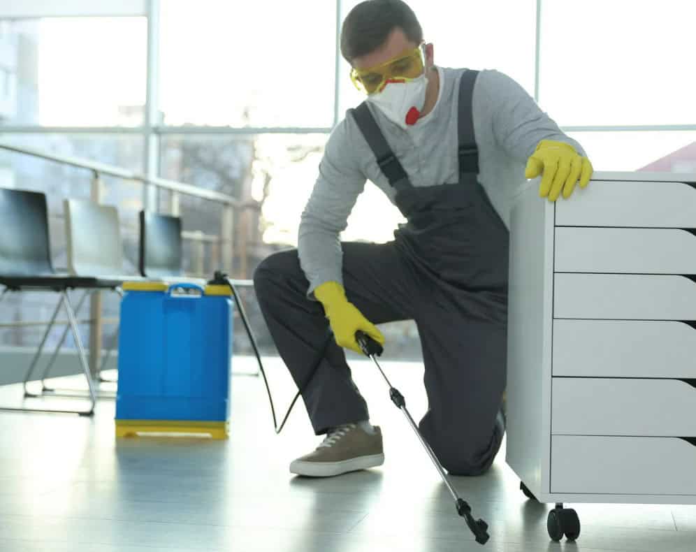 choosing the wrong exterminator company