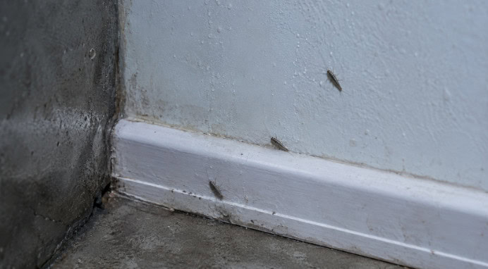 Dealing with moisture problems