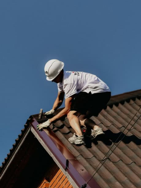 How Pest Problems Can Affect Your Roof's Performance
