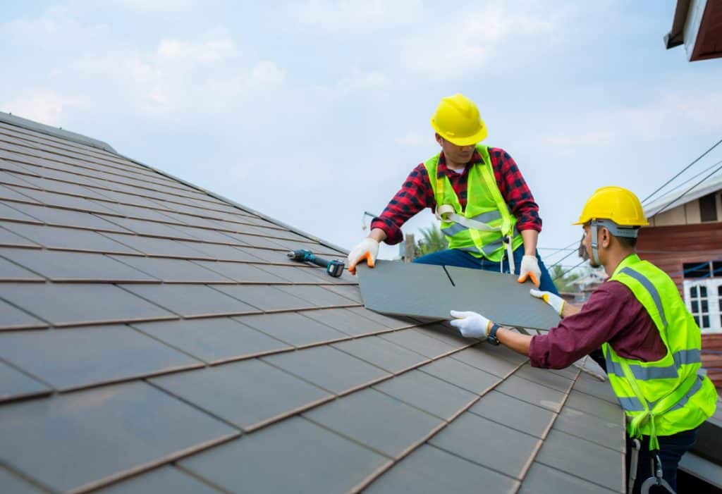 Learn How Pest Problems Can Affect Your Roof's Performance