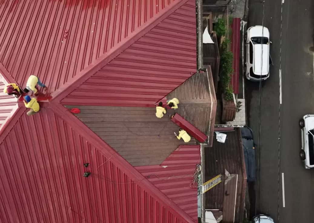Roof Problems and Pest Infestations