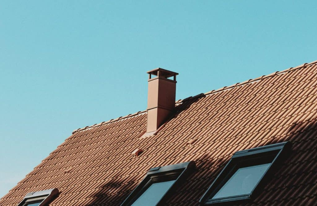 Connection Between Roof Problems and Pest Infestations