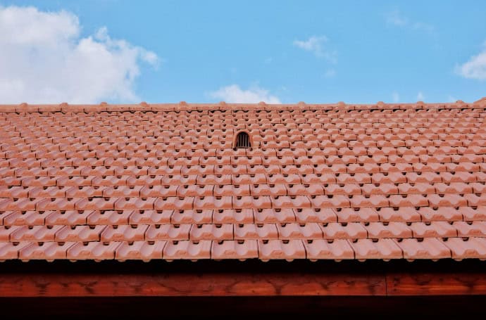 How to Prevent Pests from Damaging Roof