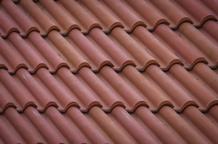 Prevent Pests from Damaging Roof
