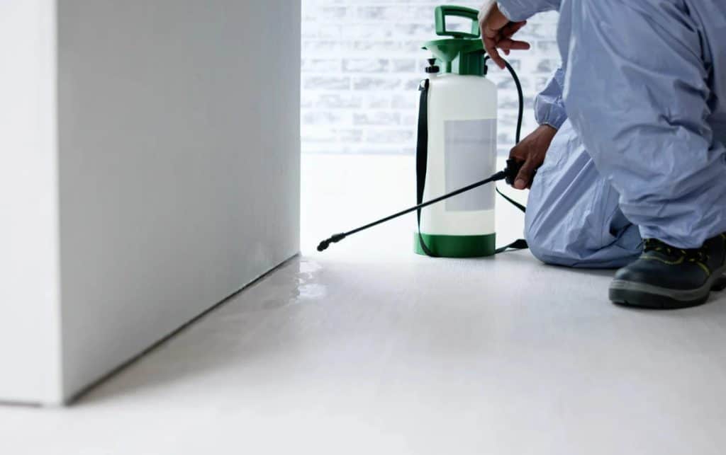 routine pest extermination