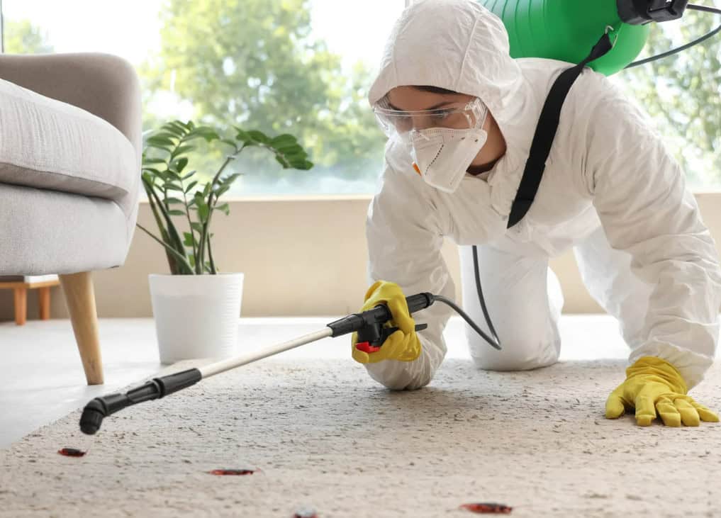choosing the safer way to protect your home