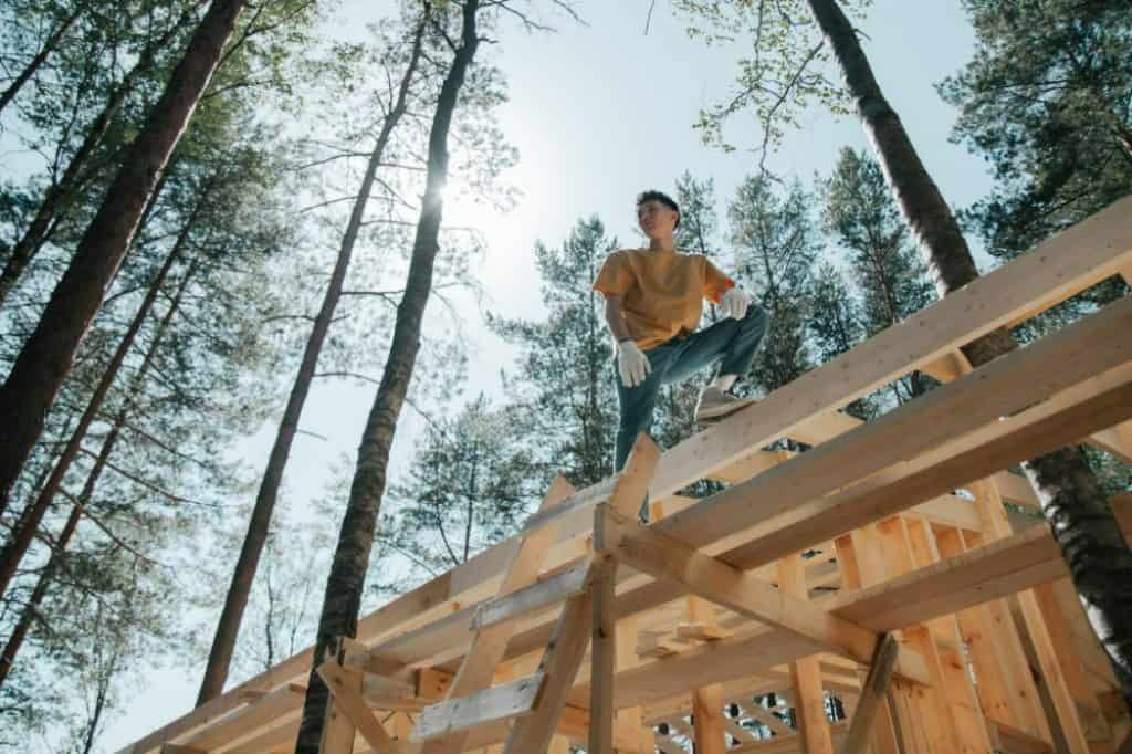protect structural timber