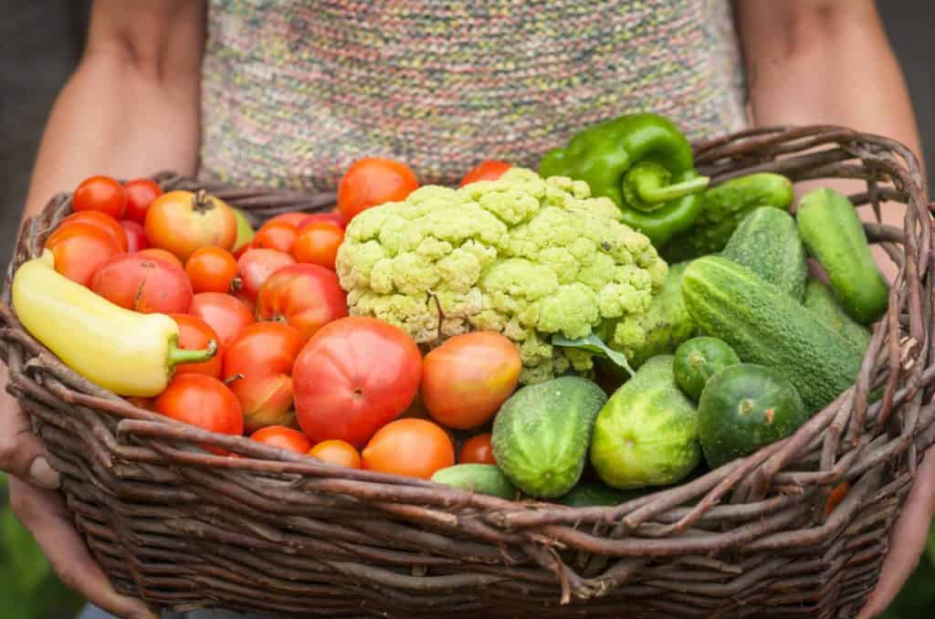 reliable guide to protecting your produce from pests