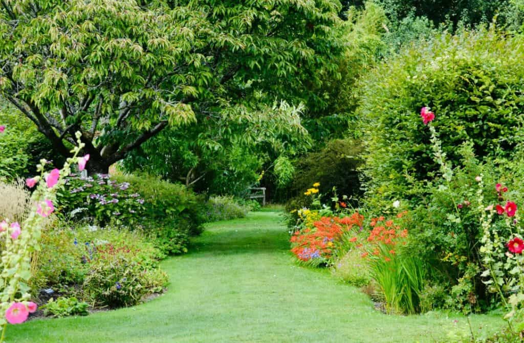 How Weather Patterns Influence Pest Problems