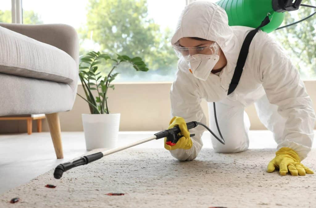 Is Pest Control Business Actually Worth