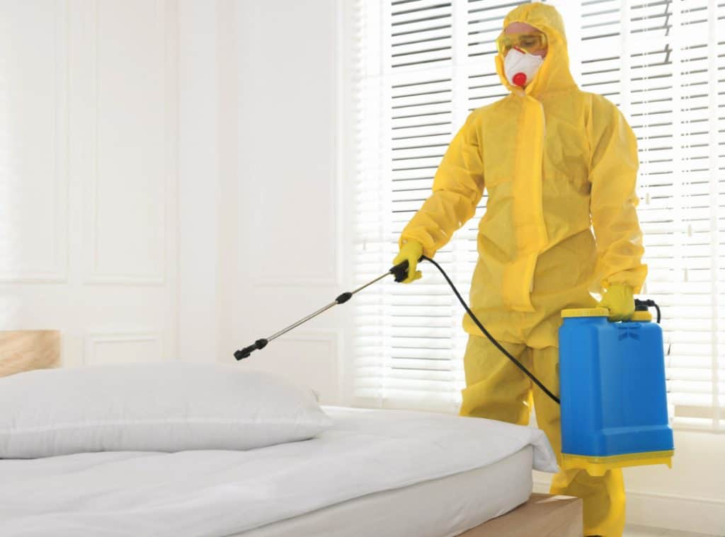 Pest Control Business Actually Worth